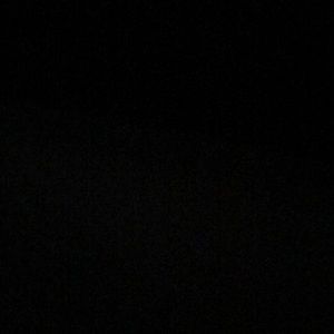 Meet your Posher, Oscar